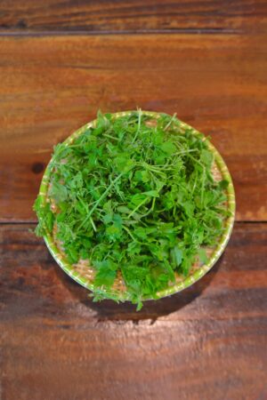 Đọt khổ qua rừng